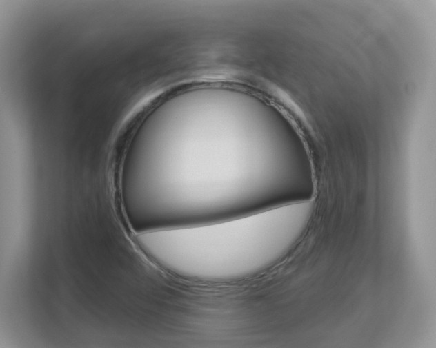 X0000112841456200908210949