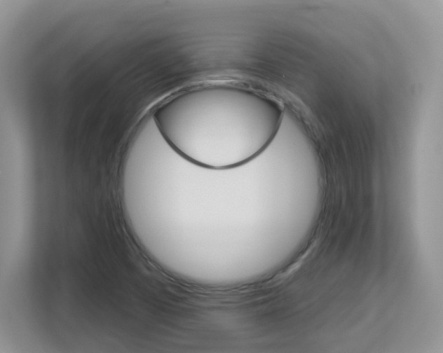 X0000112841457200908210949