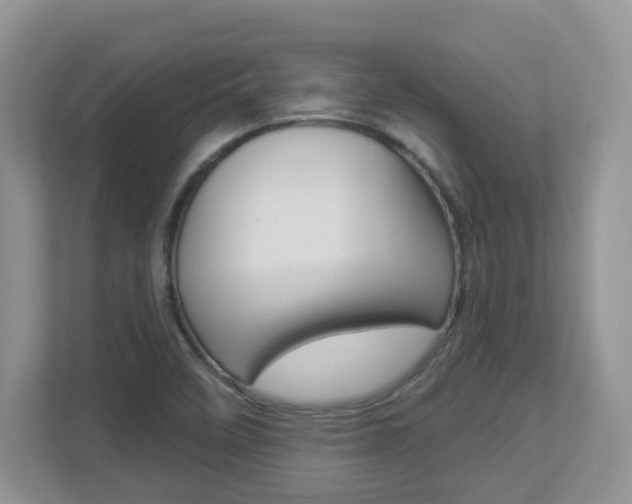 X0000112841458200908210949