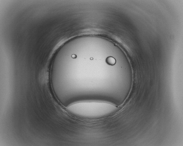 X0000112841459200908210949