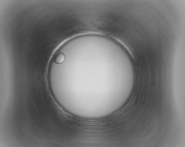 X0000112841460200908210949