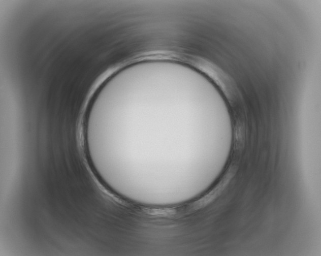 X0000112841466200908210949