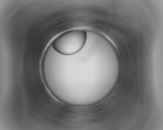 X0000112841468200908210949