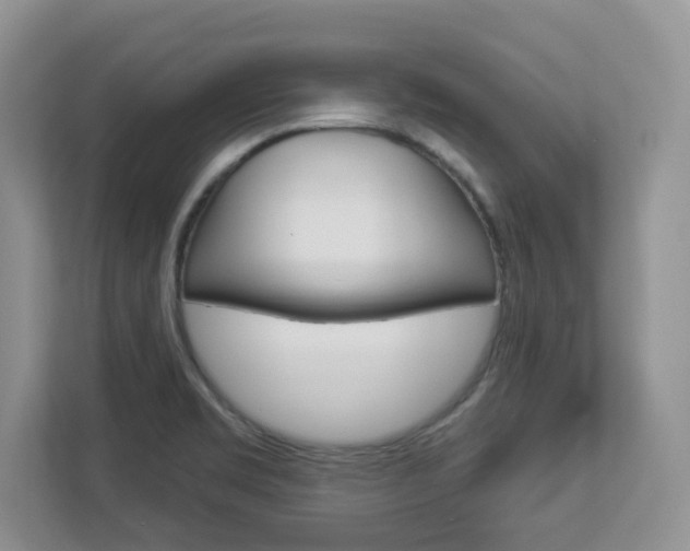 X0000112841469200908210949