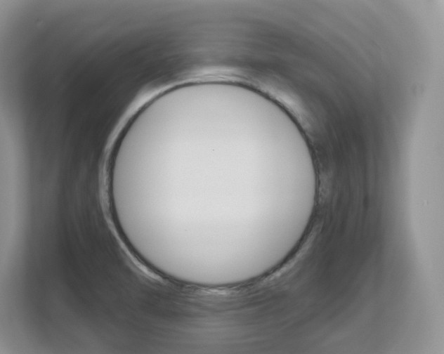 X0000112841470200908210949
