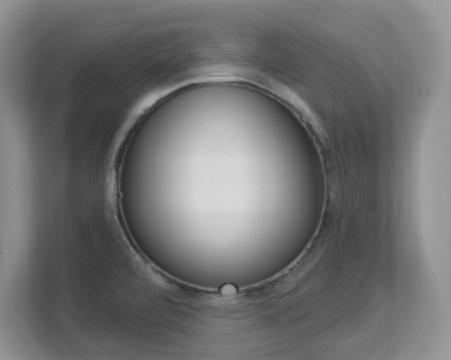 X0000112841472200908210949