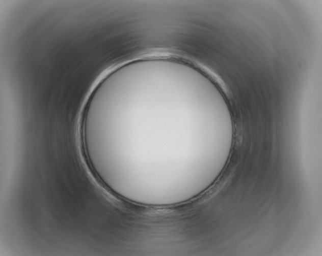 X0000112841475200908210949