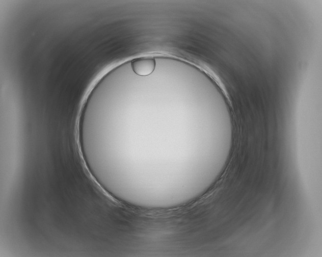 X0000112841480200908210949
