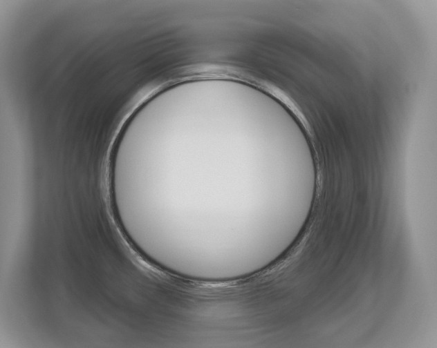 X0000112841482200908210949