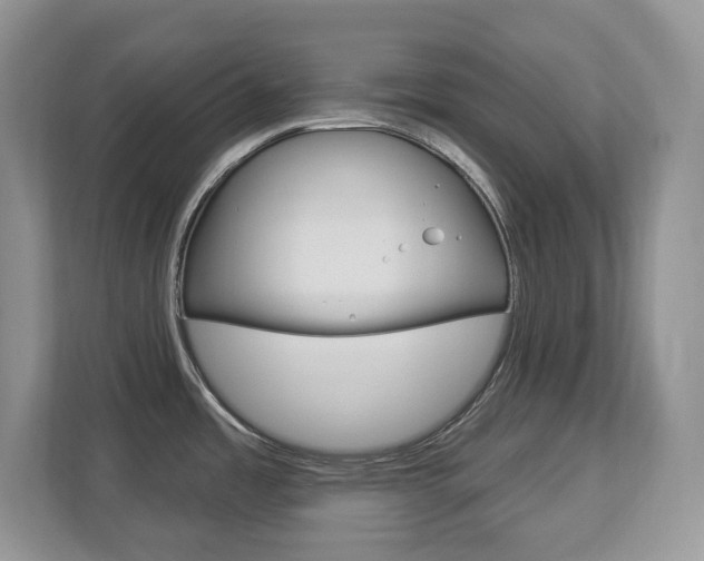 X0000112841485200908210949