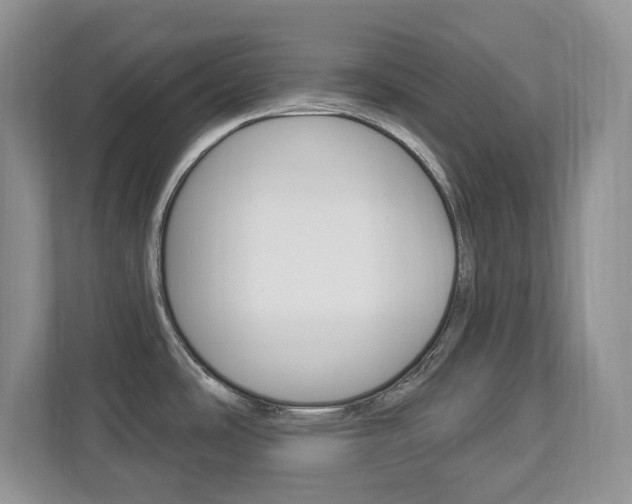 X0000112841486200908210949