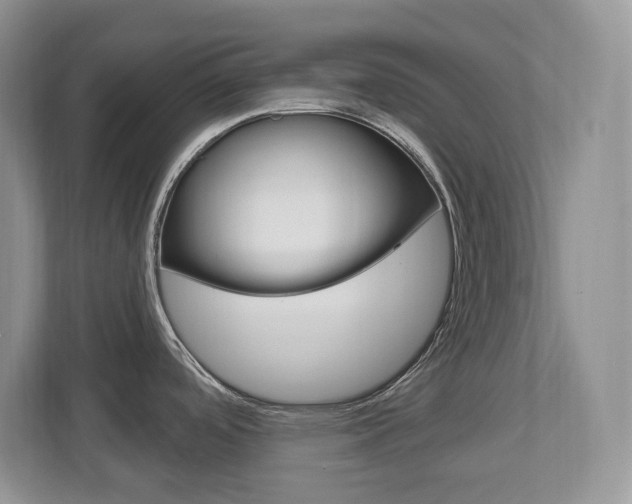X0000112841488200908210949