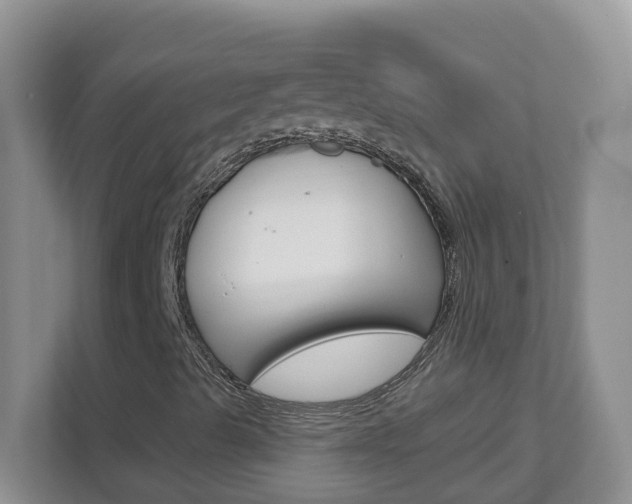 X0000112841489200908210948