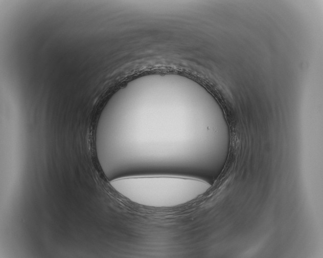 X0000112841490200908210948