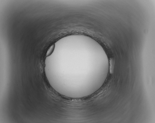 X0000112841491200908210948
