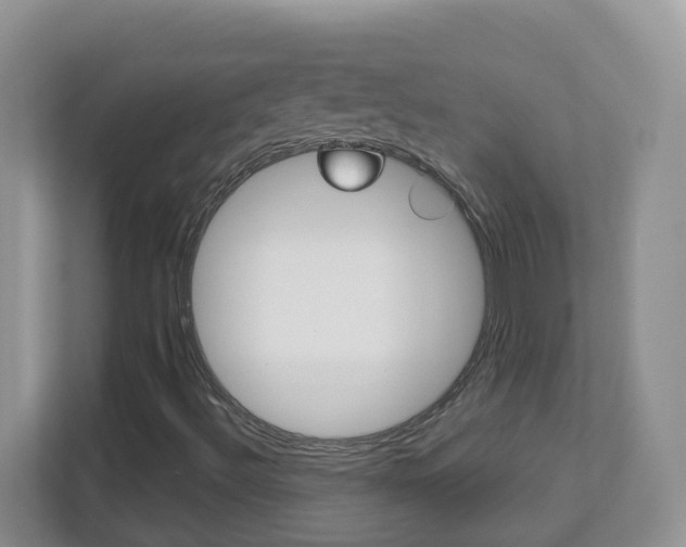 X0000112841492200908210948