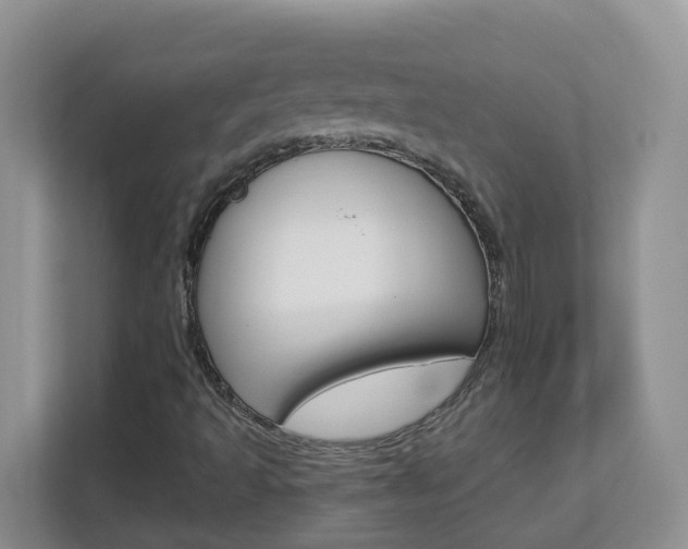 X0000112841493200908210948