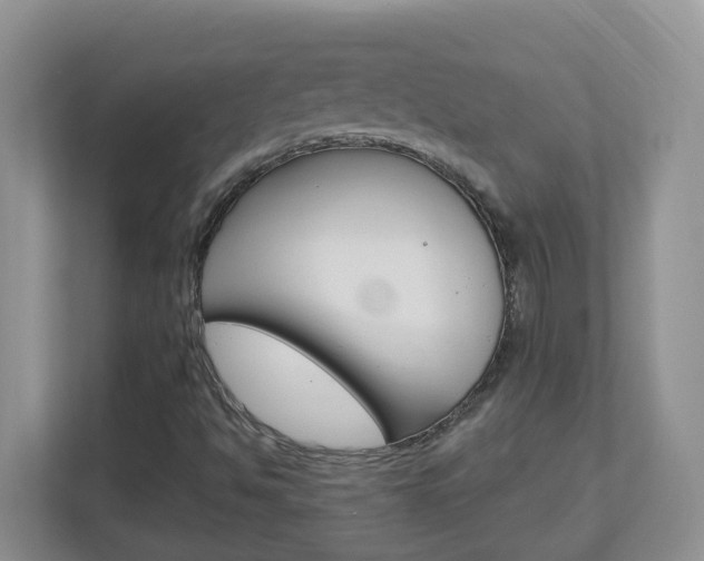 X0000112841494200908210948