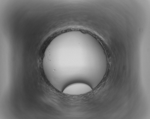 X0000112841495200908210948
