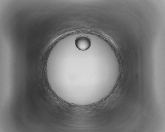 X0000112841496200908210948