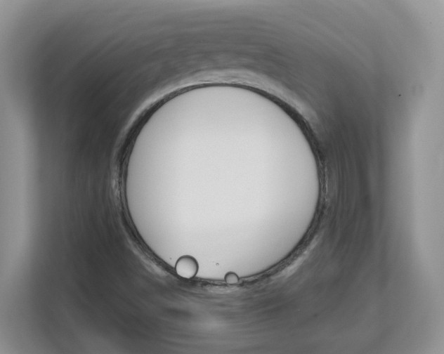 X0000112841498200908210948