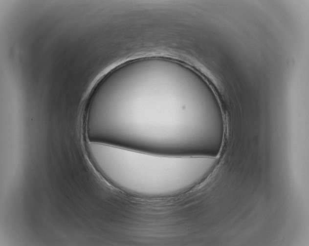 X0000112841500200908210948