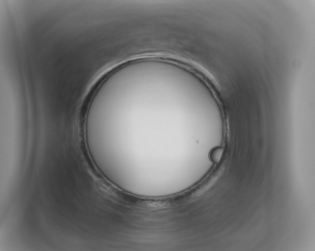 X0000112841501200908210948