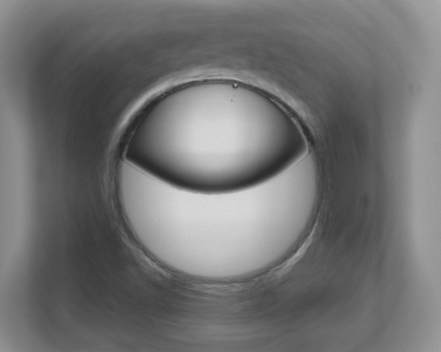 X0000112841502200908210948