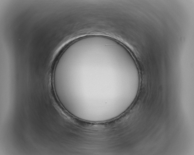 X0000112841503200908210948