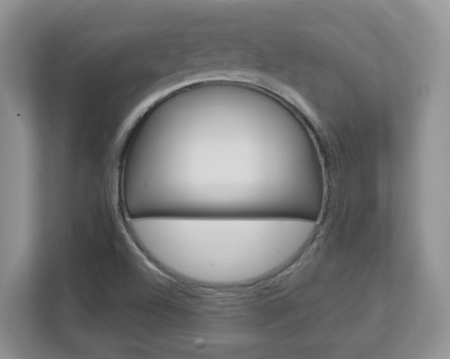 X0000112841504200908210948