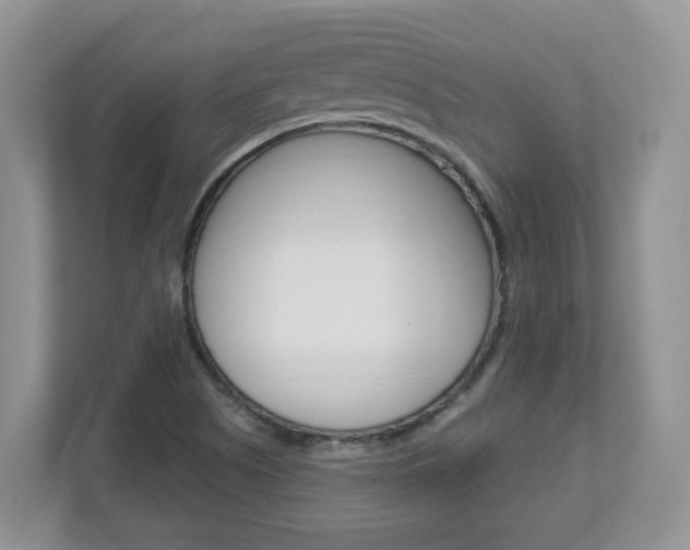 X0000112841505200908210948