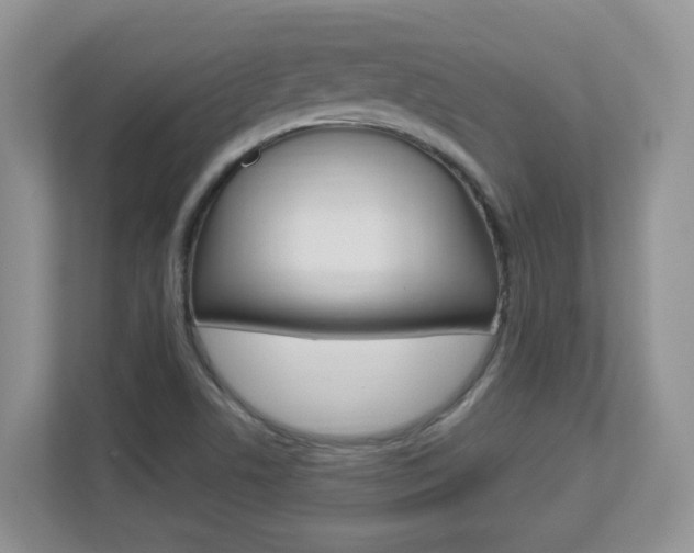 X0000112841506200908210948