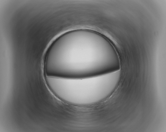 X0000112841508200908210948