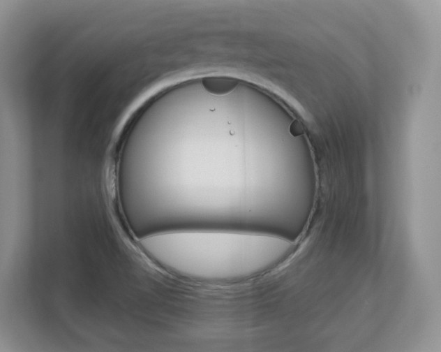 X0000112841510200908210948