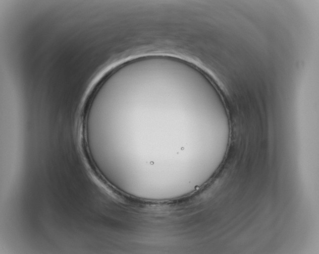 X0000112841511200908210948