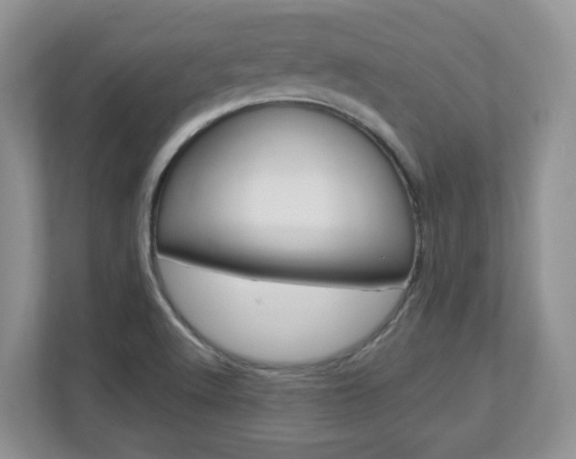 X0000112841512200908210948