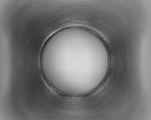 X0000112841513200908210948