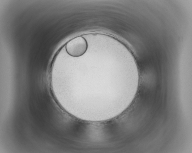 X0000112841514200908210948