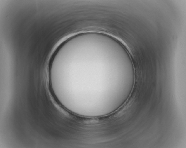 X0000112841515200908210948