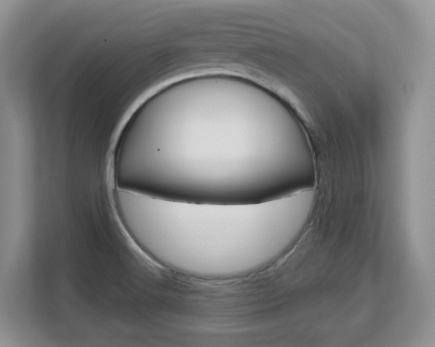X0000112841516200908210948