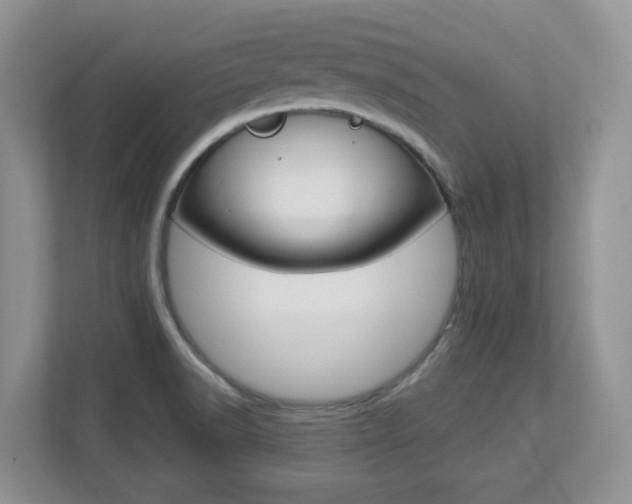 X0000112841518200908210948