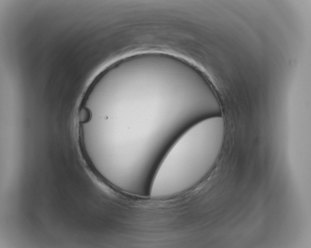 X0000112841519200908210948