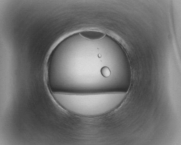 X0000112841520200908210948
