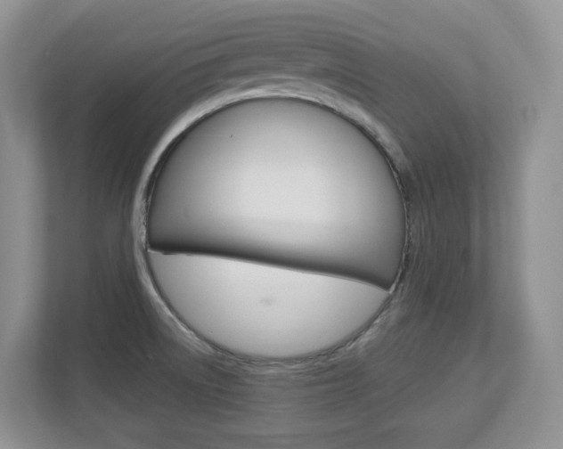 X0000112841522200908210948