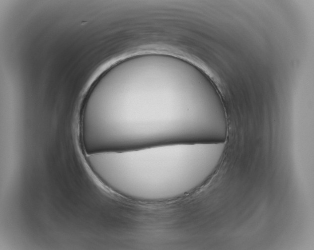 X0000112841523200908210948