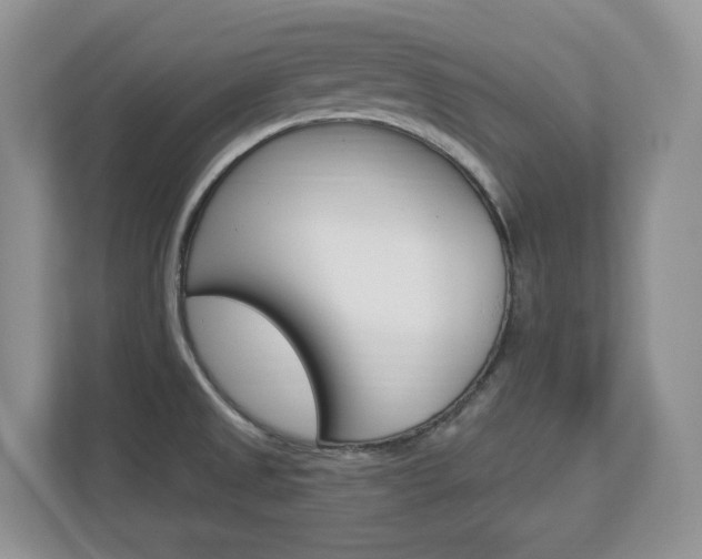 X0000112841525200908210948