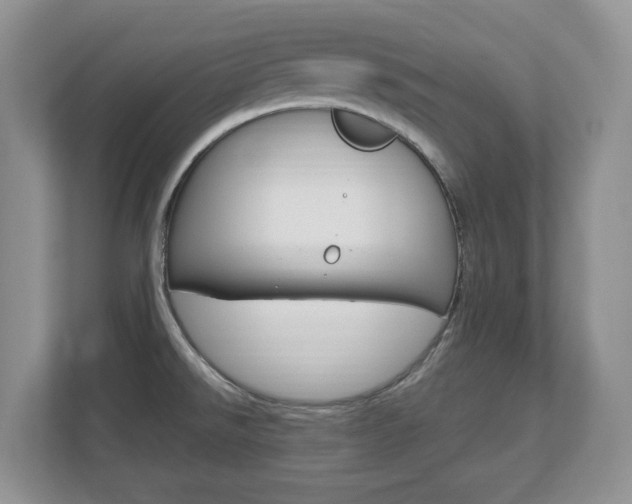 X0000112841526200908210948