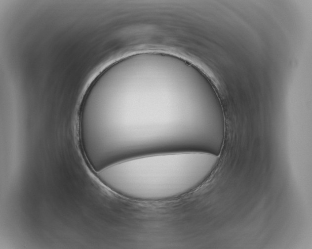 X0000112841527200908210948