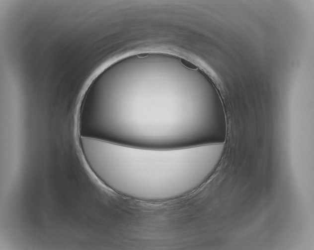 X0000112841528200908210948