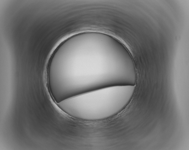 X0000112841531200908210948